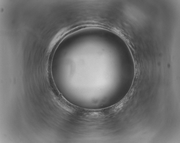 X0000073900151200608111139