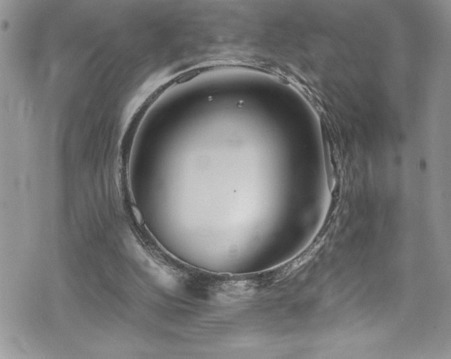 X0000073900152200608111139