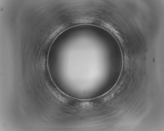 X0000073900153200608111139