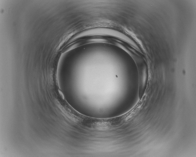 X0000073900154200608111139