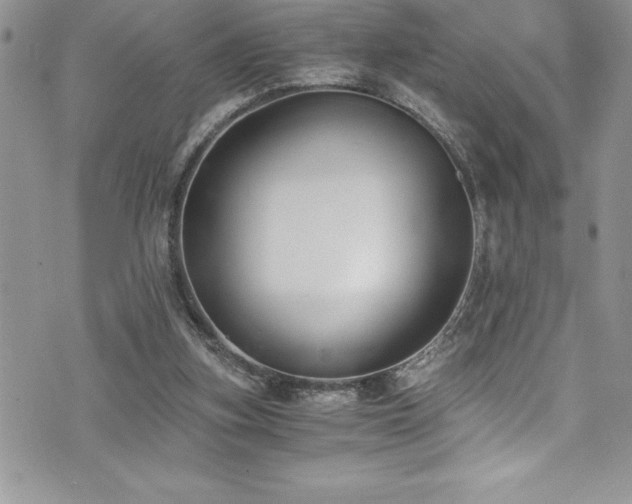 X0000073900155200608111139