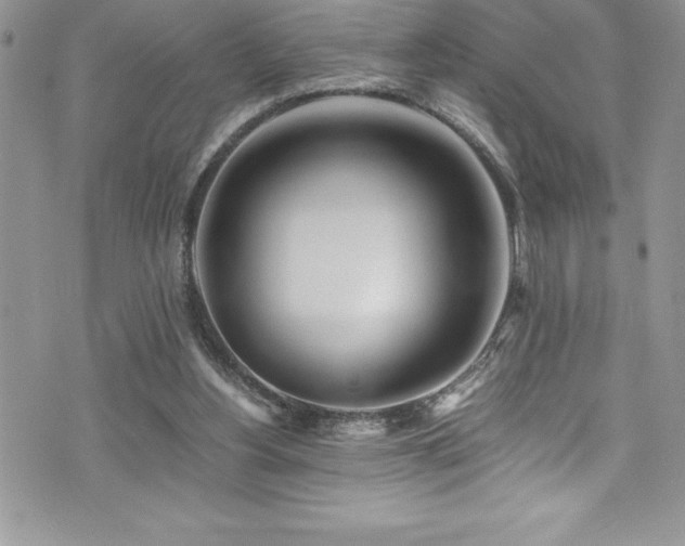 X0000073900156200608111139