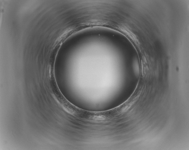 X0000073900157200608111139