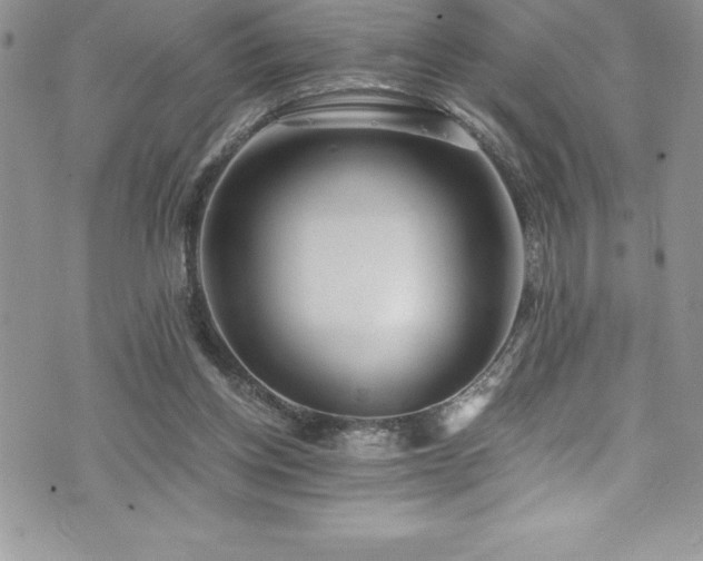 X0000073900158200608111139