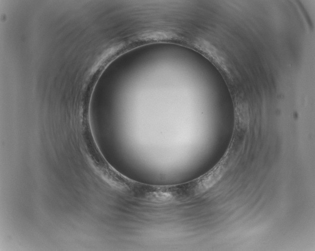 X0000073900159200608111139