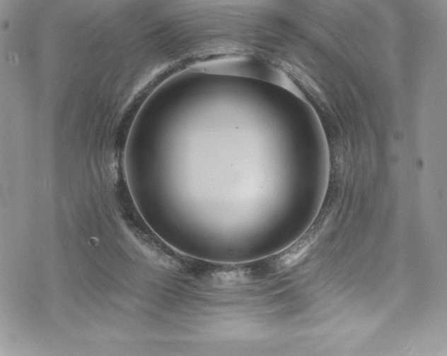 X0000073900160200608111139