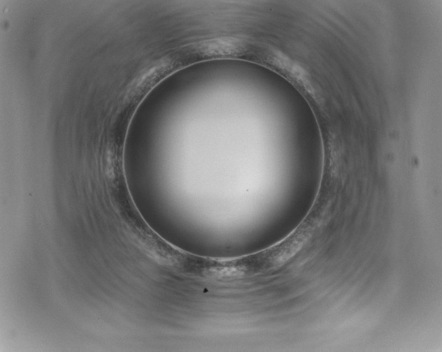 X0000073900161200608111139