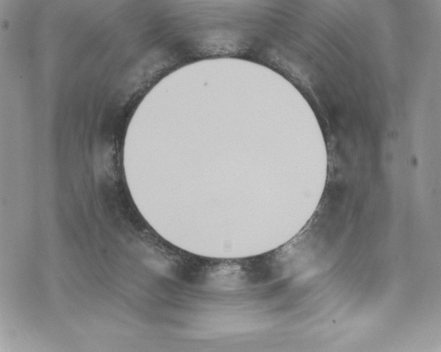 X0000073900162200608111139