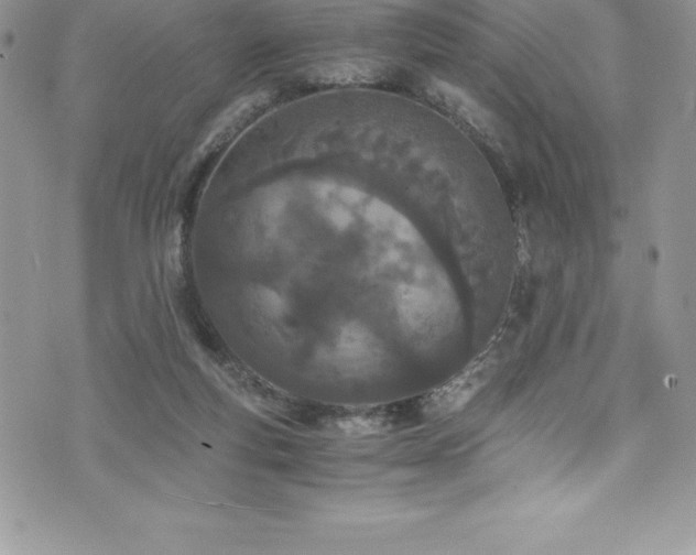 X0000073900163200608111139