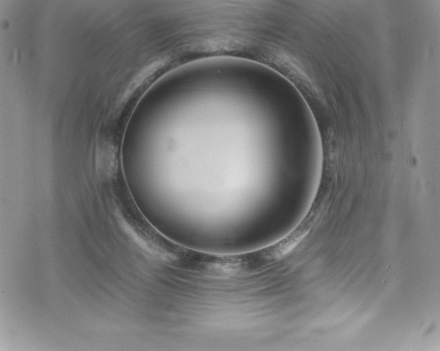 X0000073900164200608111139