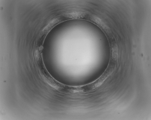 X0000073900165200608111139