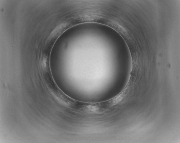 X0000073900166200608111139