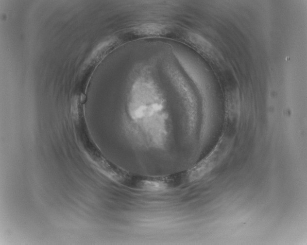 X0000073900167200608111139