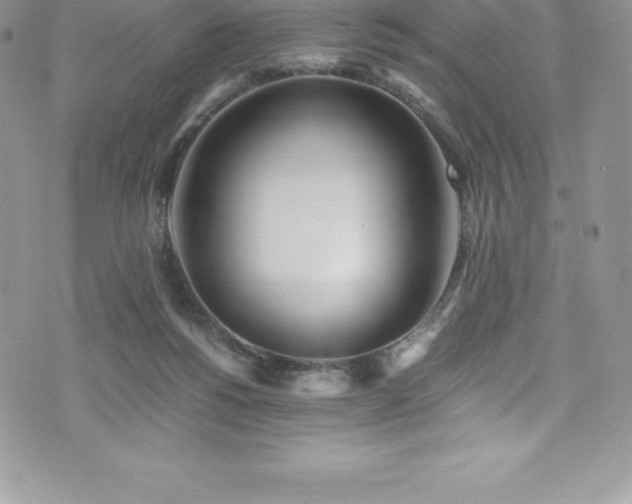 X0000073900168200608111139