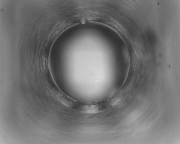 X0000073900169200608111139