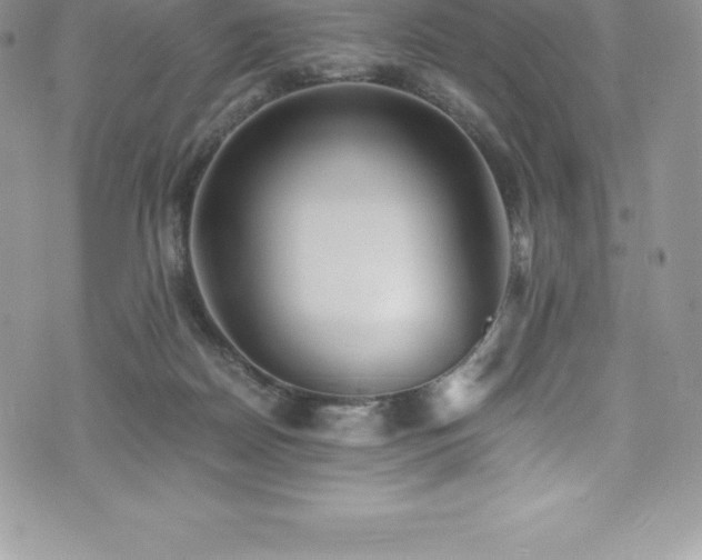 X0000073900170200608111139