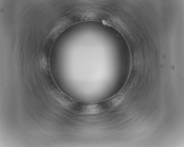 X0000073900173200608111139