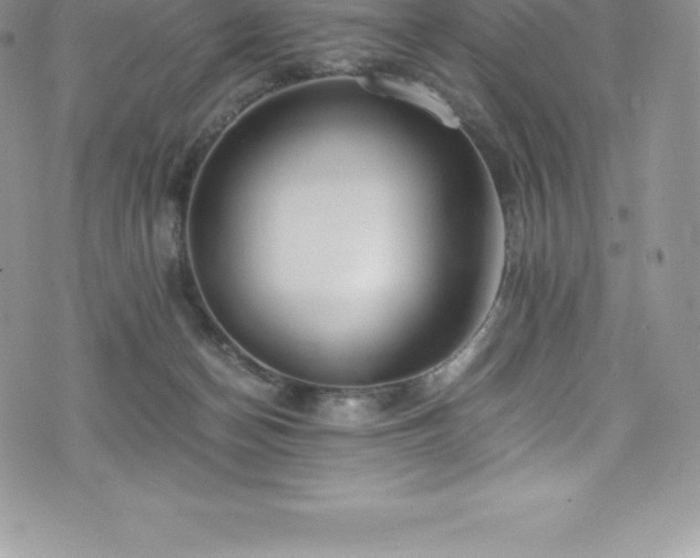 X0000073900174200608111139