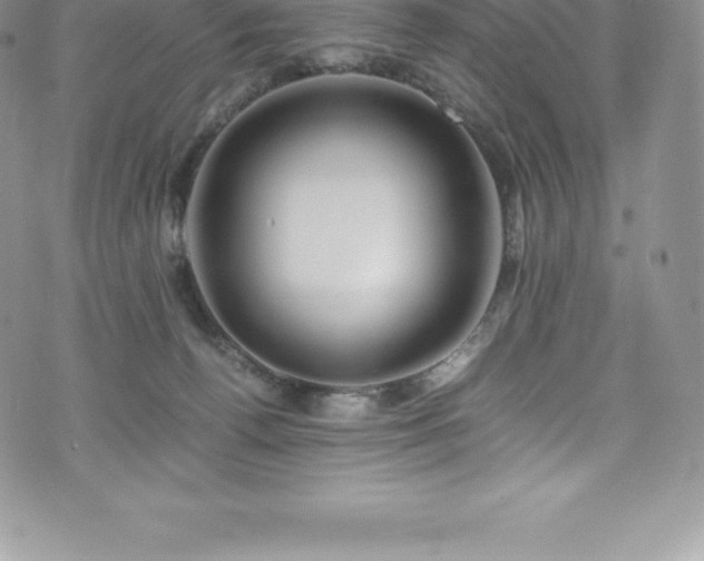 X0000073900176200608111139