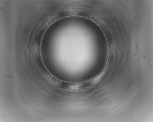 X0000073900178200608111139