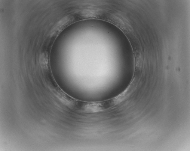 X0000073900179200608111139