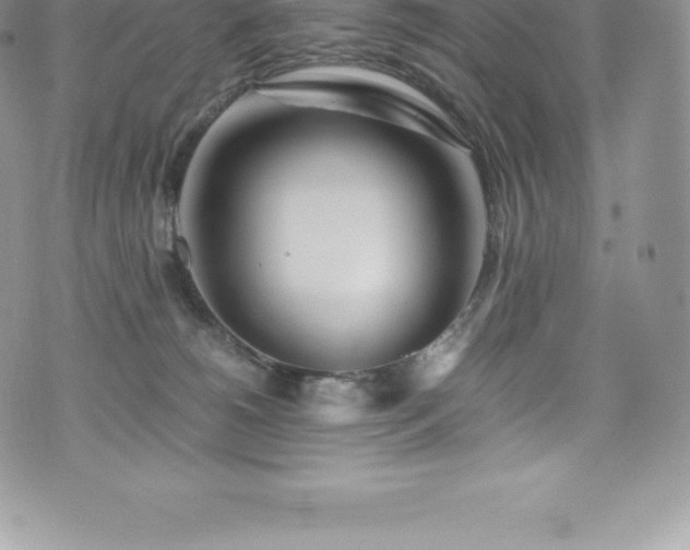 X0000073900180200608111139