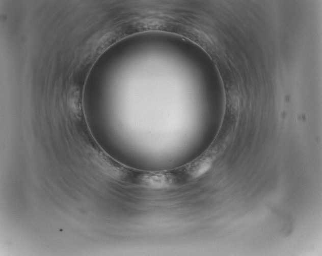 X0000073900181200608111139