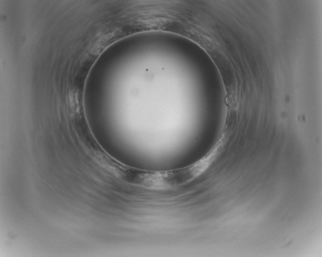 X0000073900182200608111139