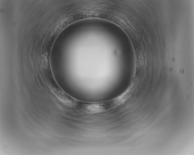 X0000073900183200608111139