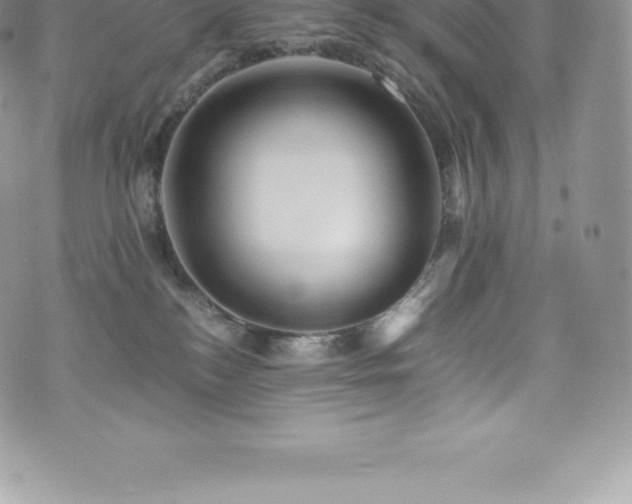 X0000073900184200608111139