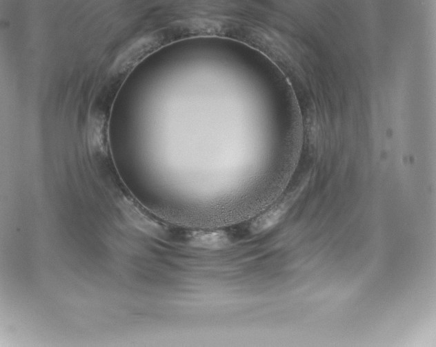 X0000073900185200608111139