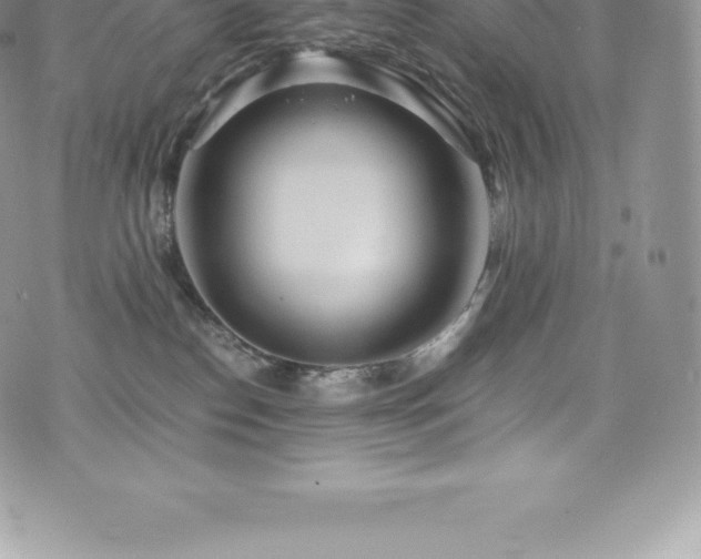 X0000073900186200608111139