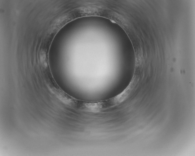 X0000073900187200608111139