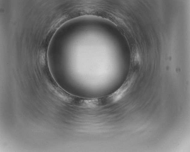 X0000073900188200608111139