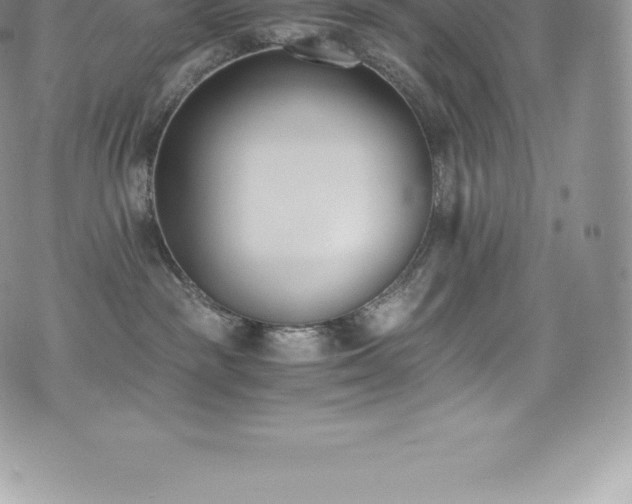 X0000073900189200608111139