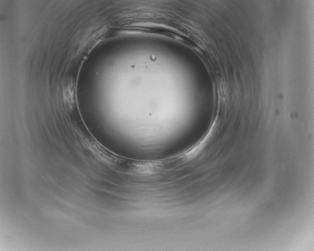 X0000073900190200608111139