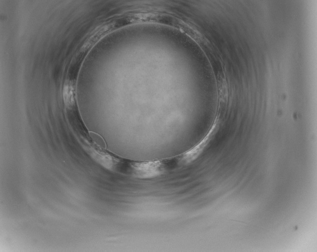 X0000073900191200608111139