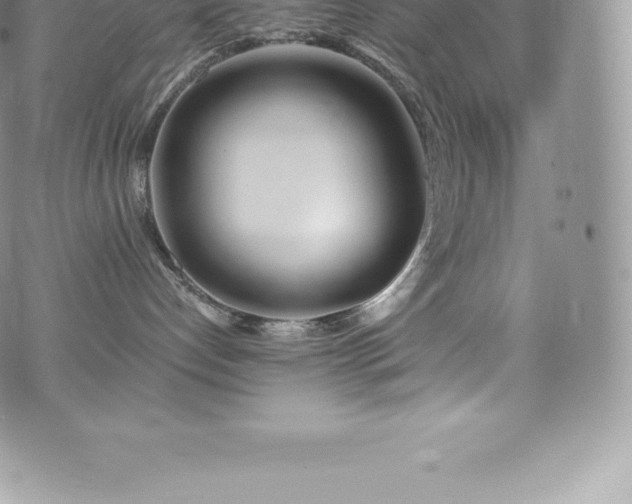 X0000073900192200608111139