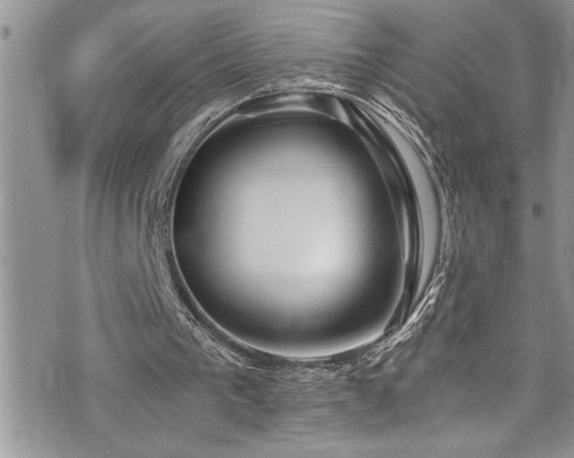 X0000073900193200608111139