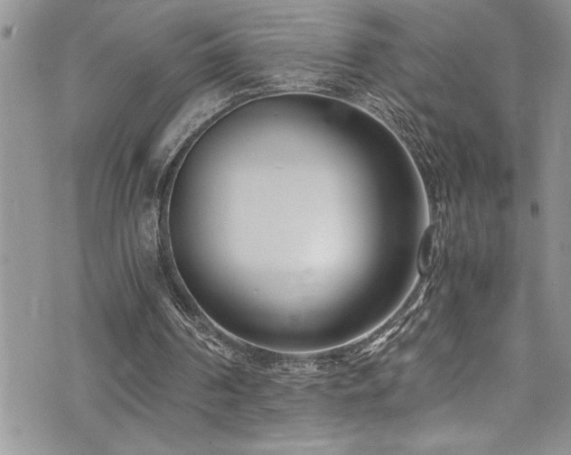 X0000073900194200608111139