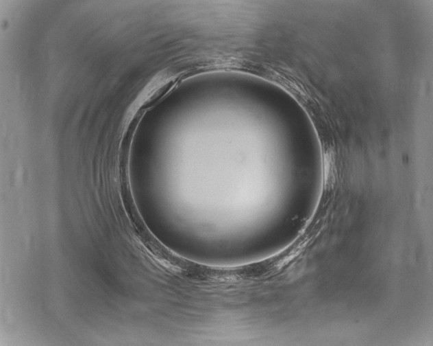 X0000073900195200608111138