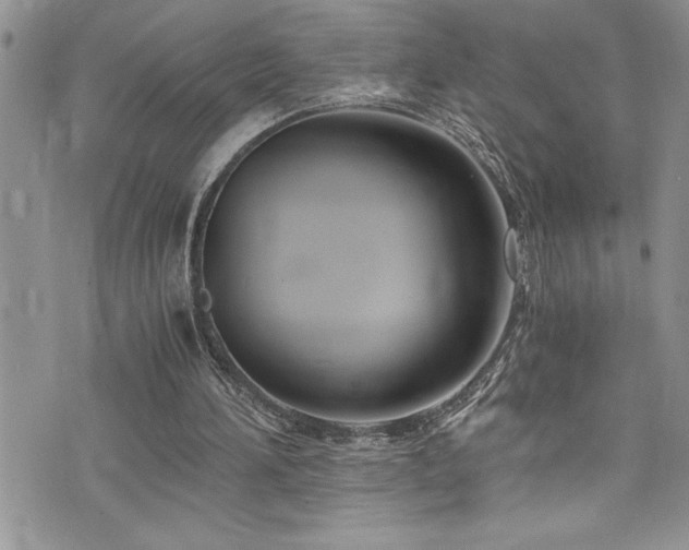 X0000073900196200608111138