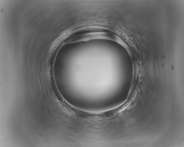 X0000073900197200608111138