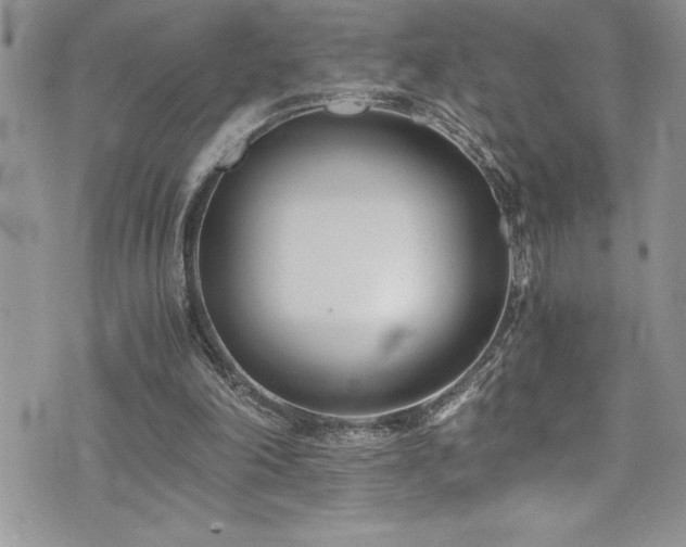 X0000073900198200608111138