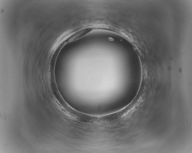 X0000073900199200608111138