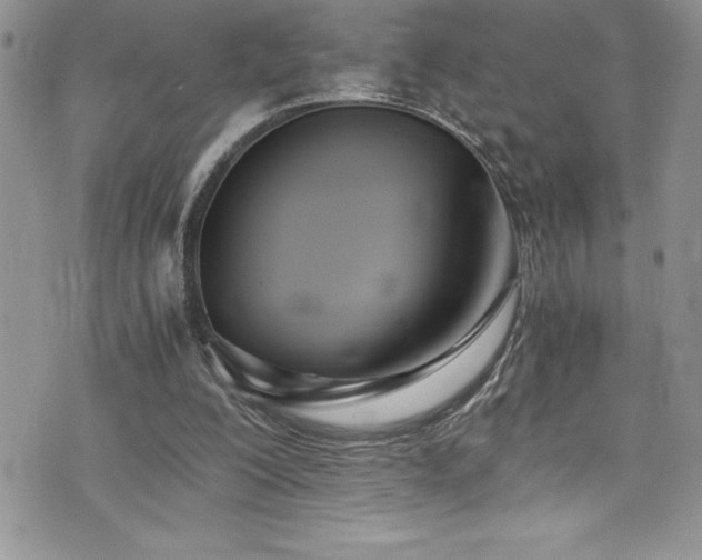 X0000073900200200608111138