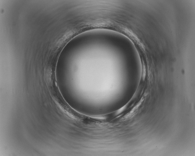 X0000073900201200608111138