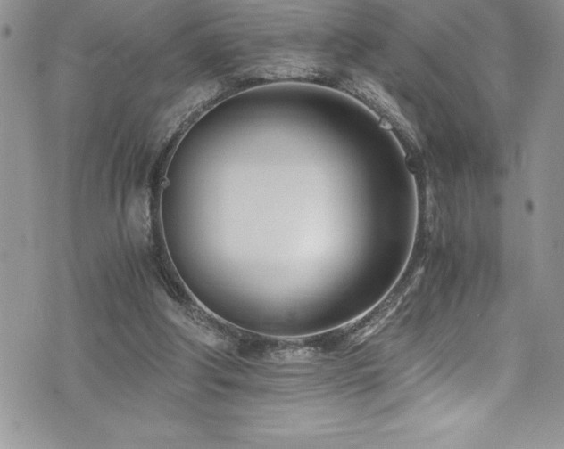 X0000073900202200608111138