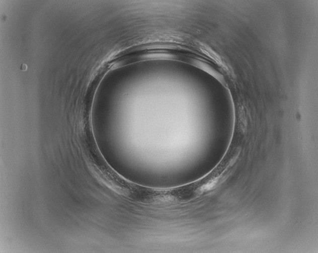 X0000073900203200608111138