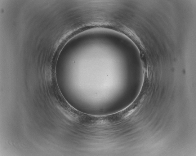 X0000073900204200608111138